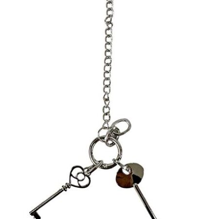 ÇANTA AKSESUARI VE ANAHTARLIK ANAHTAR GÜMÜŞ